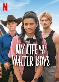 Banner Netflix - Seamae